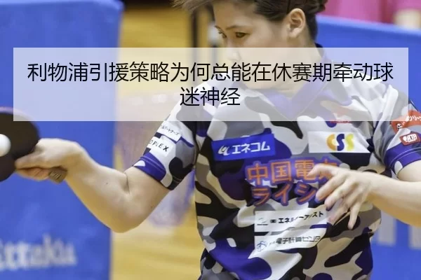 利物浦引援策略为何总能在休赛期牵动球迷神经